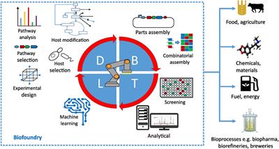 Biofoundries and citizen science can accelerate disease surveillance and environmental monitoring